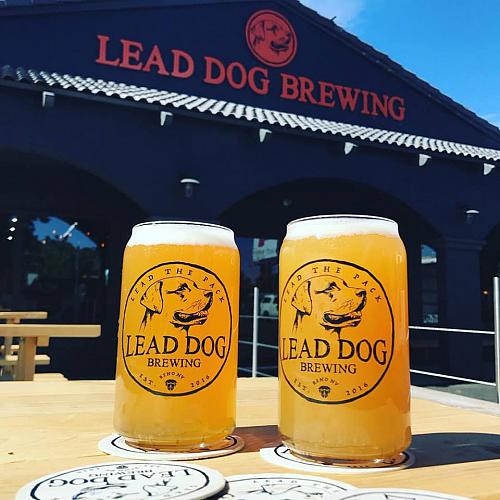 Lead Dog Brewing